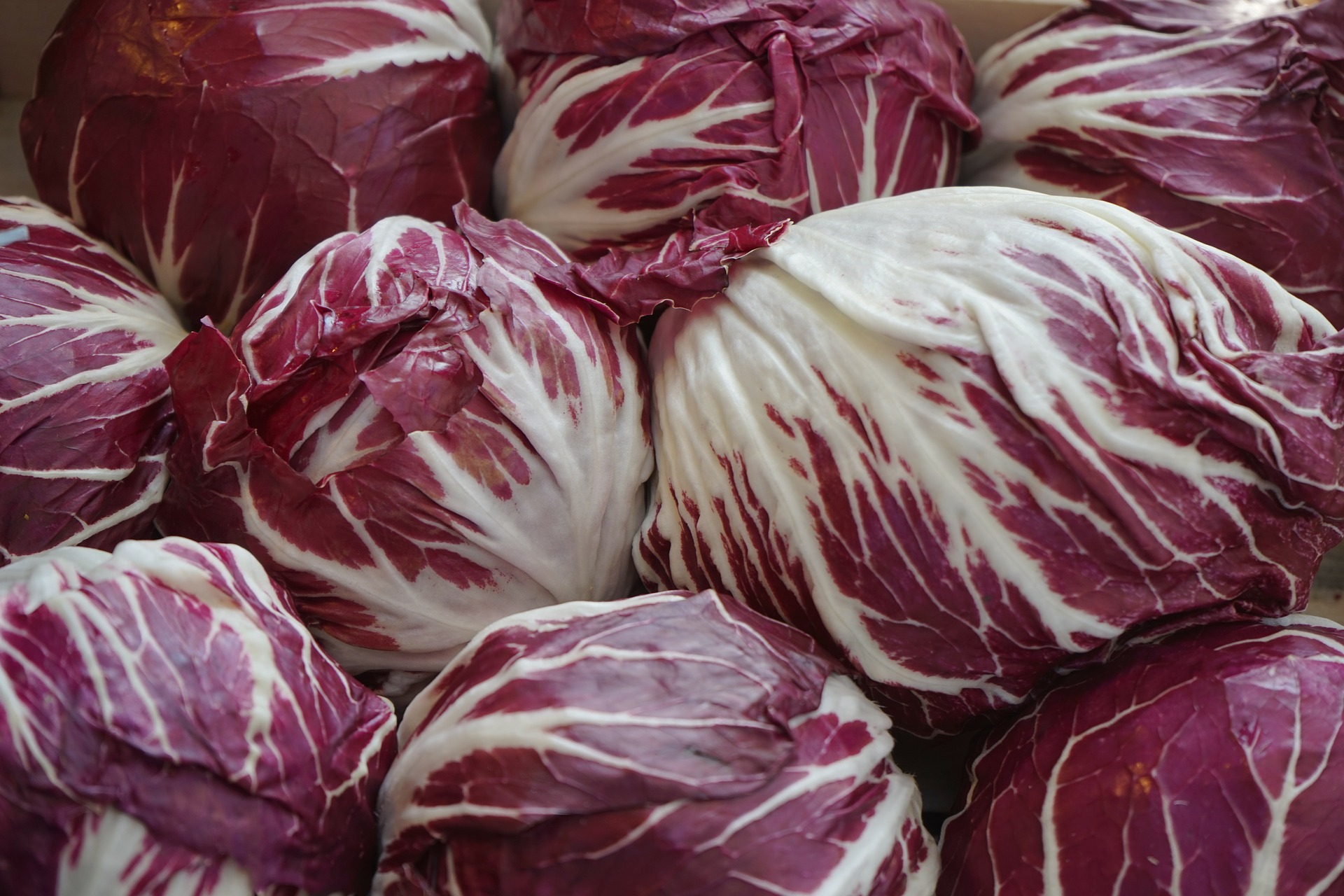 Radicchio rosso con olive