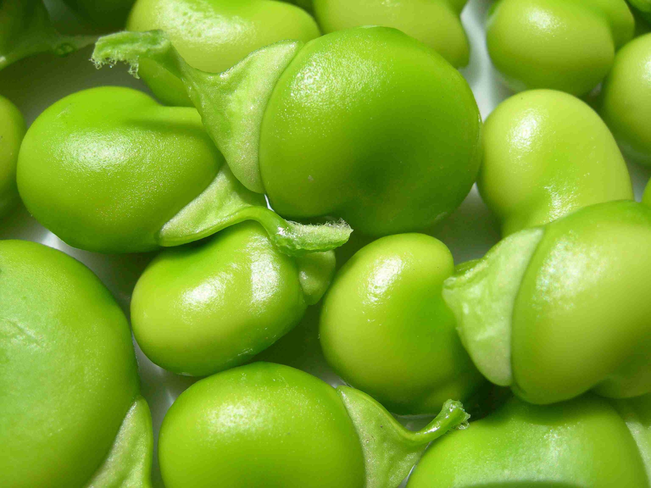 Bean soup with coriander leaves